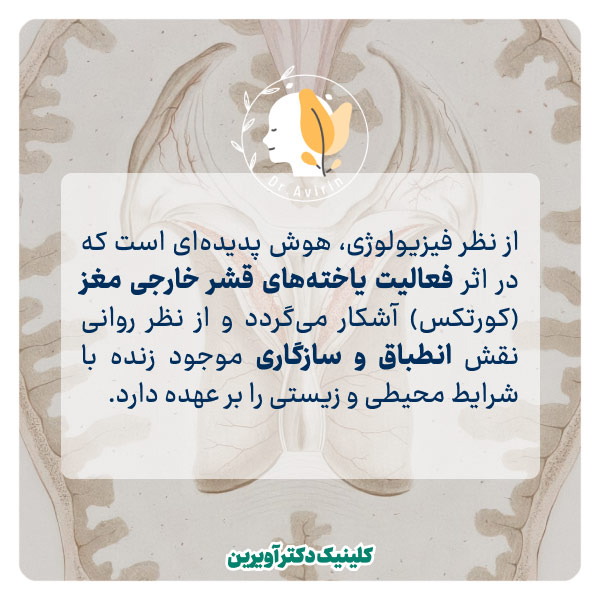 معنی هوش در روانشناسی